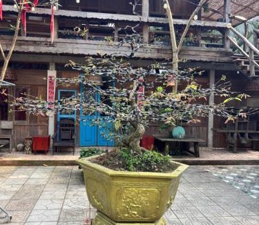 Chau Thanh House | Homestay Ông giáo
