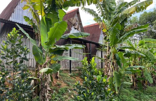 Son Trach House | Nguyen Shack Retreat - Phong Nha