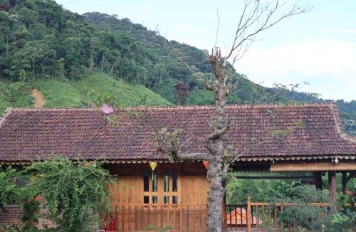 A Luoi Cabin | Anor Farmstay Bungalow - Family
