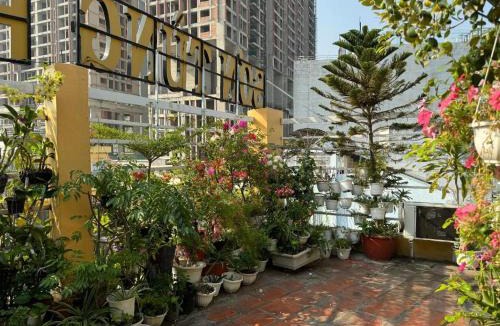 District 1 Hotel | Son Tung Hotel - De Tham Street