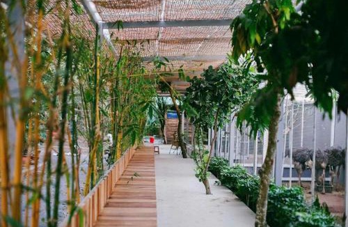 District 9 Cabin | Marina Bến Du Thuyền