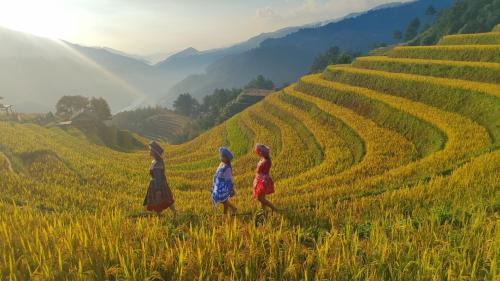 Mu Cang Chai House | Mu Cang Chai Terrace View Bungalows
