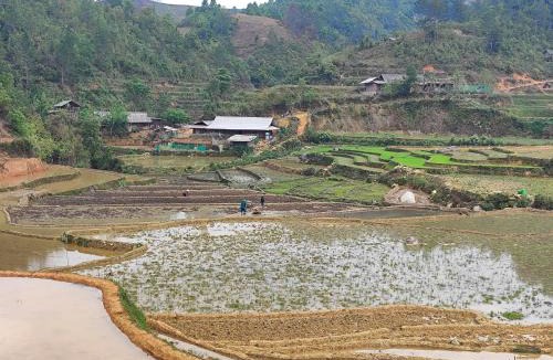 Mu Cang Chai House | Mu Cang Chai Terrace View Bungalows