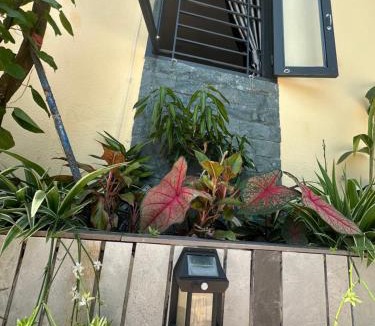 Long Ho House | Tổ Nhím Homestay