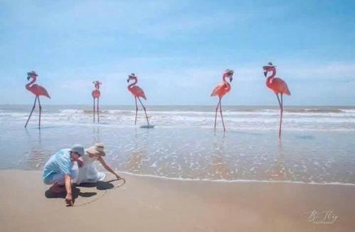 Hoang Hoa Hotel | Flamingo Hai Tien Beach Resort