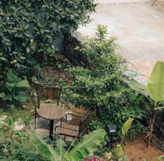 Hoa Lu Hotel | Trang An Ninh Binh Rustic Hideaway