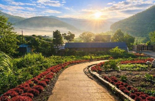 Lam Ha Hotel | The Hill Home and Coffee