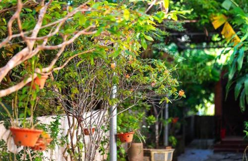 Son Trach House | Phong Nha Family Homestay