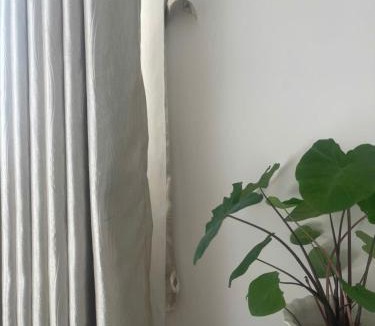 Ninh Hoa Hotel | Moc Mien Seaside Homestay & Coffee Doc Let