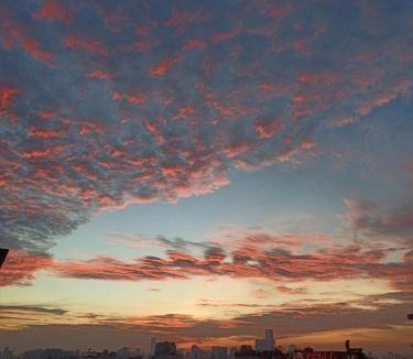 Hang Trong Hotel | Hanoi Solis Hotel