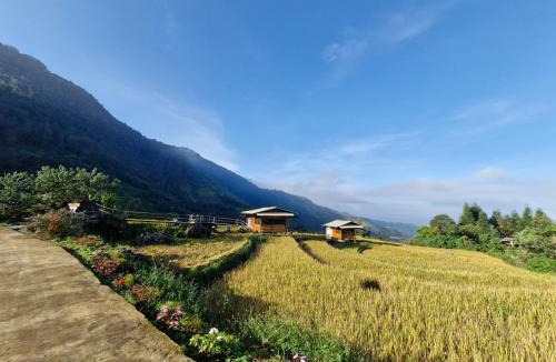 Phong Tho Apartment | Tổ Ếch Homestay