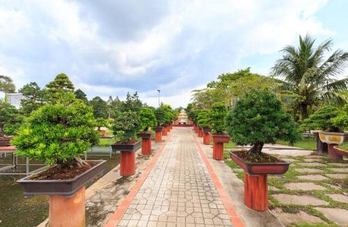Lai Vung Bed & Breakfast | Sadec Bonsai Farmstay