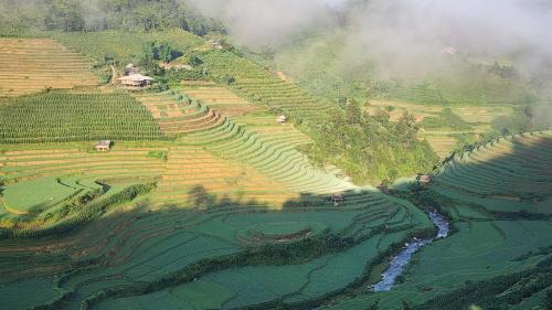 Mu Cang Chai Hotel | Mu Cang Chai Eco Home
