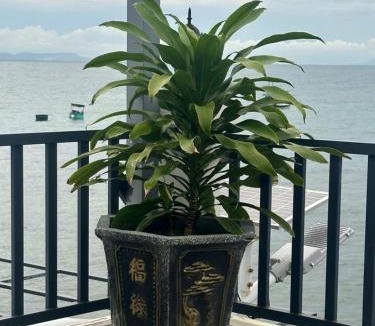 Ganh Dau Hotel | Happy House Gành Dầu