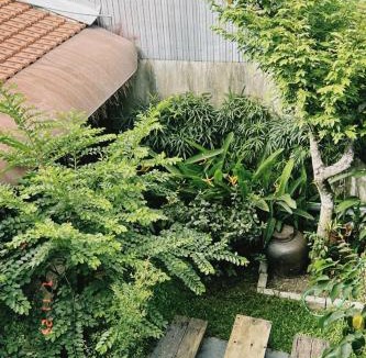 Thuy Xuan Apartment | Cat Homestay
