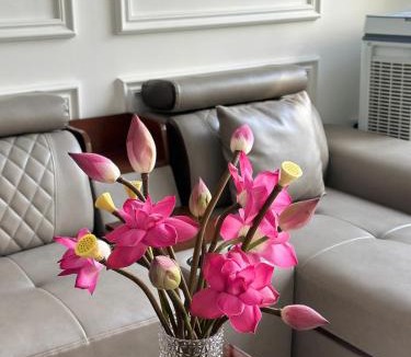 Phan Thiet Hotel | Anh Thư Hotel