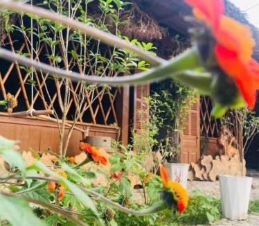 Nghia Lo Apartment | Hải Long Homestay Yên Bái