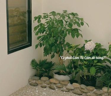 Ninh Kieu Hotel | Khế Homestay