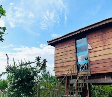 Tay Ninh Other | Bà Đen Garden - Hương Sen Quán