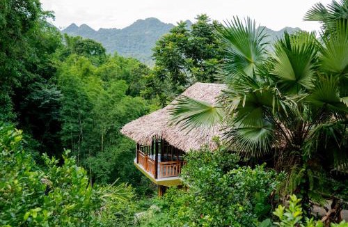 Pu Long Nature Reserve Hotel | Asia Tropical Resort and Spa
