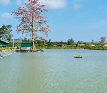 Krong Ana Other | Đảo Xanh Ecofarm