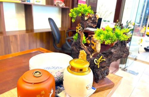 Vung Tau Hotel | TNH Hotel Vung Tau