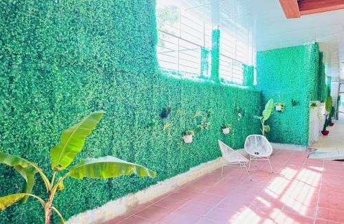 Khu 6 Apartment | Căn Hộ Dương Đông town Hotel