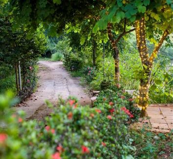 Thanh Thuy Hotel | White Cloud Villa and Farmstay- Mây Trắng Villa and FarmStay