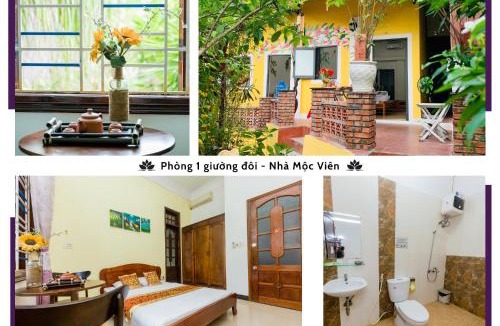 Thuy Xuan Hotel | Hue Lotus Homestay