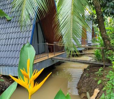 Mo Cay Bac House | Homestay Nam Hàm Luông
