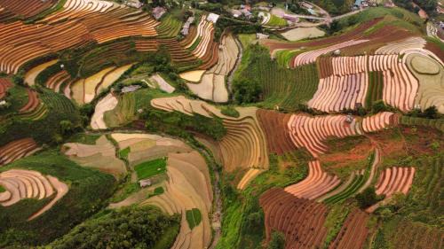 Mu Cang Chai House | Dong Suoi H'mong Homestay & Bungalow