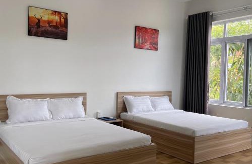 Bao Loc Hotel | Homestay Tulip Garden Bảo Lộc
