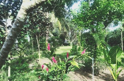 Chau Thanh House | Happy Farm Tien Giang Homestay