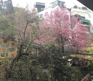Da Lat Hotel | Hotel Pansy