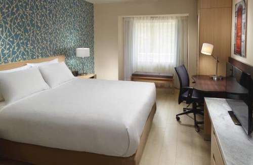 Saltillo Hotel | One Saltillo Aeropuerto