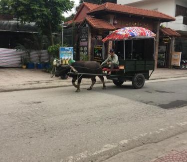 Hoa Lu House | Tam Coc Family Friendly Homestay