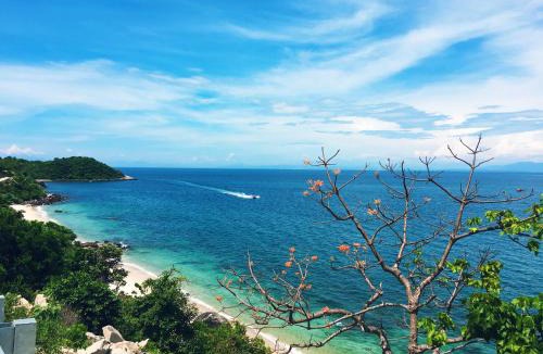 Tan Hiep House | Trang Vu Homestay Cu Lao Cham