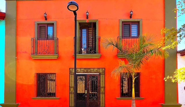 Casa del Arbol