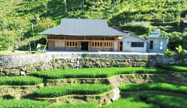 Bees Homestay Sapa & Trekking