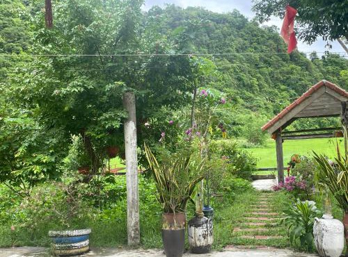 Phong Nha Rice Field Homestay