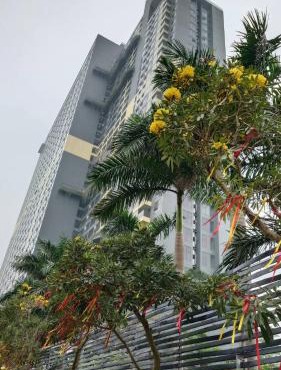 Hot Springs Tickets - Combo Onsen Center Park plus 1 and Hotel rooms - Vé Trung tâm khoáng nóng - Lynn Times Wyndham Thanh Thuy