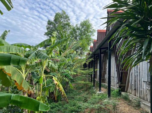 Nguyen Shack Retreat - Phong Nha