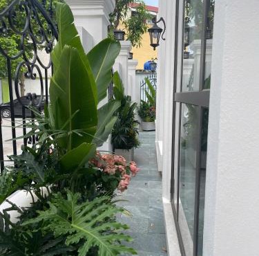 Van Khe Cozy Villa
