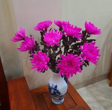 LaMera Homestay