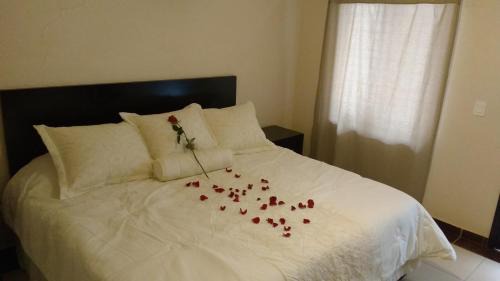 Hotel Peña Real in Queretaro