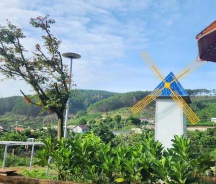 Homestay Đà Lạt Xưa