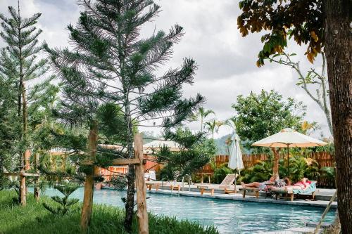 Nam garden lodge