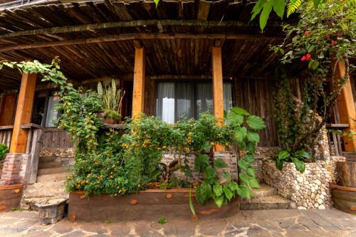 Muong Hoa River View Homestay
