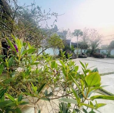 Hải Long Homestay Yên Bái