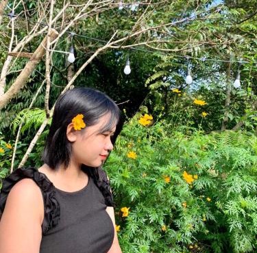 Hoa Anh Đào Homestay